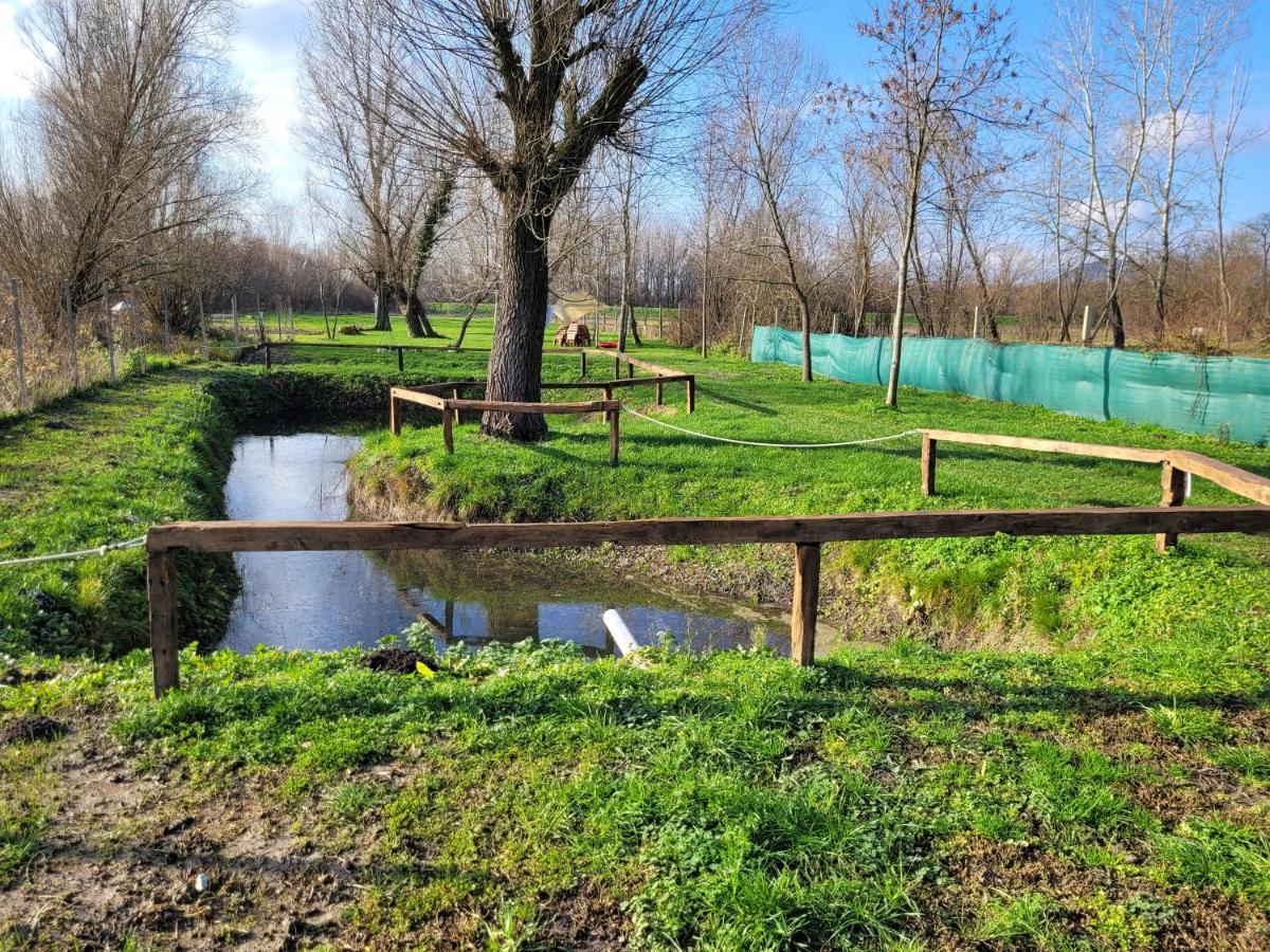 Végvári Vendégház Magyarbóly Esterno foto